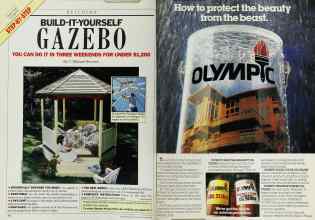Better Homes & Gardens June 1986 Magazine Article: Page 42