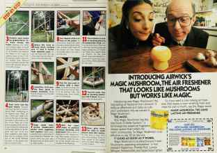 Better Homes & Gardens June 1986 Magazine Article: Page 46