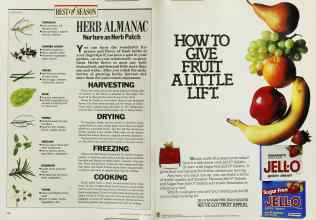 Better Homes & Gardens June 1986 Magazine Article: Page 124