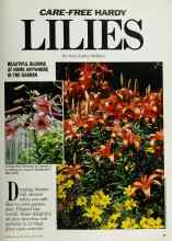 Better Homes & Gardens August 1986 Magazine Article: CARE-FREE HARDY LILIES