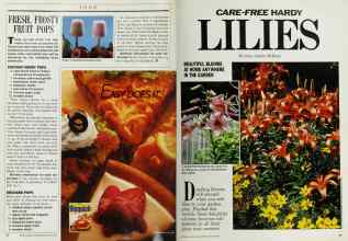 Better Homes & Gardens August 1986 Magazine Article: Page 54