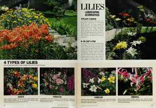 Better Homes & Gardens August 1986 Magazine Article: Page 60