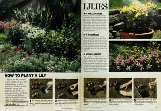 Better Homes & Gardens August 1986 Magazine Article: Page 62