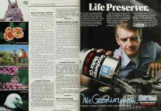 Better Homes & Gardens August 1986 Magazine Article: Page 114