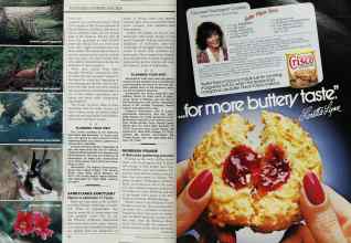 Better Homes & Gardens August 1986 Magazine Article: Page 116