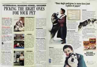Better Homes & Gardens August 1986 Magazine Article: Page 126