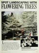 Better Homes & Gardens September 1986 Magazine Article: SPOT LANDSCAPING WITH FLOWERING TREES