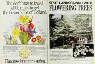 Better Homes & Gardens September 1986 Magazine Article: Page 78