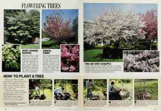 Better Homes & Gardens September 1986 Magazine Article: Page 80