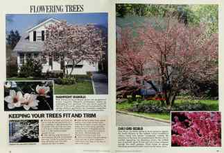 Better Homes & Gardens September 1986 Magazine Article: Page 82