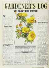 Better Homes & Gardens October 1986 Magazine Article: GARDENER'S LOG