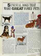Better Homes & Gardens October 1986 Magazine Article: 5 UNUSUAL DOGS THAT MAKE GREAT FAMILY PETS