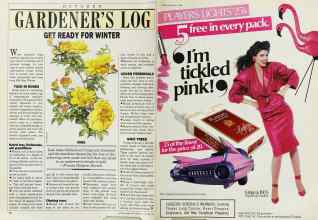 Better Homes & Gardens October 1986 Magazine Article: Page 26