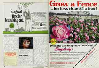 Better Homes & Gardens October 1986 Magazine Article: Page 46