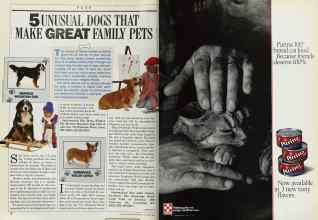 Better Homes & Gardens October 1986 Magazine Article: Page 76