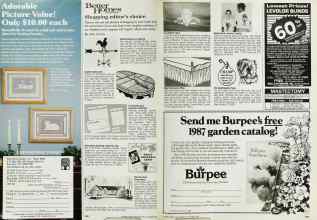 Better Homes & Gardens October 1986 Magazine Article: Shopping editor's choice