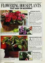 Better Homes & Gardens November 1986 Magazine Article: FLOWERING HOUSEPLANTS THAT KEEP ON BLOOMING