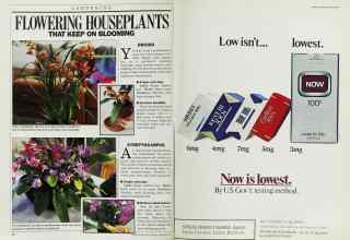 Better Homes & Gardens November 1986 Magazine Article: Page 52