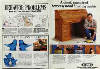 Better Homes & Gardens November 1986 Magazine Article: Page 180