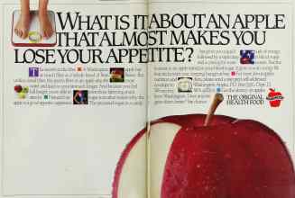 Better Homes & Gardens January 1987 Magazine Article: Page 12