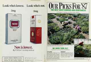 Better Homes & Gardens January 1987 Magazine Article: Page 40