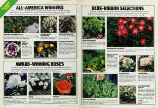 Better Homes & Gardens January 1987 Magazine Article: Page 42