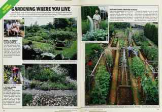Better Homes & Gardens January 1987 Magazine Article: Page 44