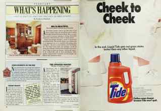 Better Homes & Gardens February 1987 Magazine Article: Page 20