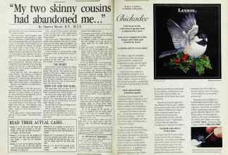 Better Homes & Gardens February 1987 Magazine Article: Page 28