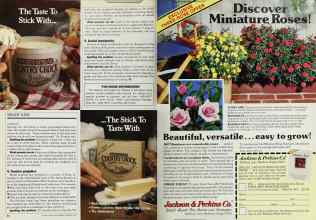 Better Homes & Gardens February 1987 Magazine Article: Page 64