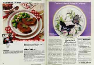 Better Homes & Gardens February 1987 Magazine Article: Page 110