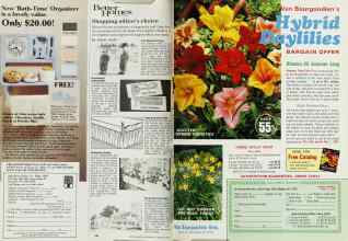 Better Homes & Gardens February 1987 Magazine Article: Page 150