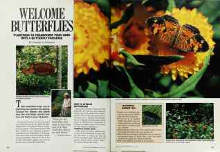 Better Homes & Gardens March 1987 Magazine Article: WELCOME BUTTERFLIES