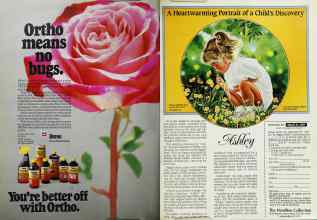 Better Homes & Gardens March 1987 Magazine Article: Page 152