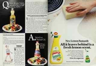 Better Homes & Gardens April 1987 Magazine Article: Page 102