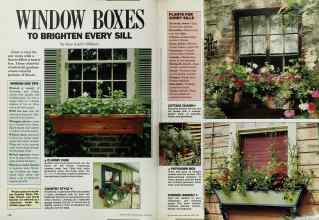 Better Homes & Gardens April 1987 Magazine Article: WINDOW BOXES TO BRIGHTEN EVERY SILL