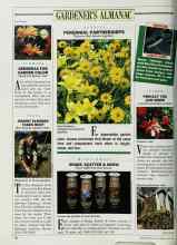 Better Homes & Gardens May 1987 Magazine Article: GERBERAS FOR GARDEN COLOR