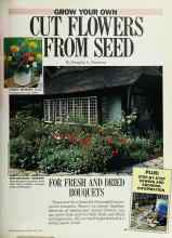 Better Homes & Gardens May 1987 Magazine Article: GROW YOUR OWN CUT FLOWERS FROM SEED