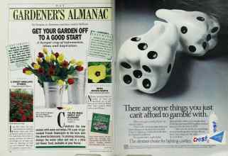 Better Homes & Gardens May 1987 Magazine Article: Page 22