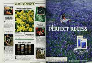 Better Homes & Gardens May 1987 Magazine Article: Page 26