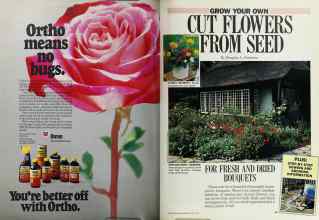 All Better Homes Gardens Magazines Since 1922