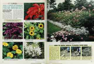 Better Homes & Gardens May 1987 Magazine Article: Page 46