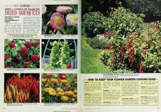 Better Homes & Gardens May 1987 Magazine Article: Page 50