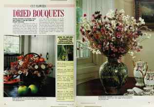 Better Homes & Gardens May 1987 Magazine Article: Page 52