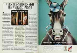 Better Homes & Gardens May 1987 Magazine Article: Page 56