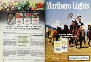 Better Homes & Gardens May 1987 Magazine Article: Page 86