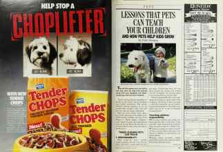 Better Homes & Gardens May 1987 Magazine Article: Page 180