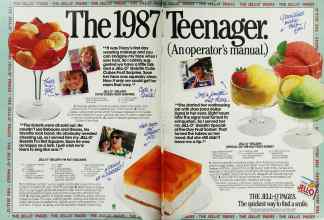 Better Homes & Gardens June 1987 Magazine Article: Page 104