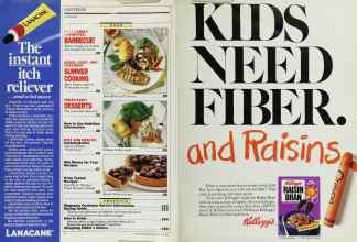 Better Homes & Gardens July 1987 Magazine Article: Page 4