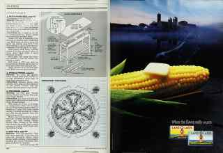 Better Homes & Gardens July 1987 Magazine Article: Page 100